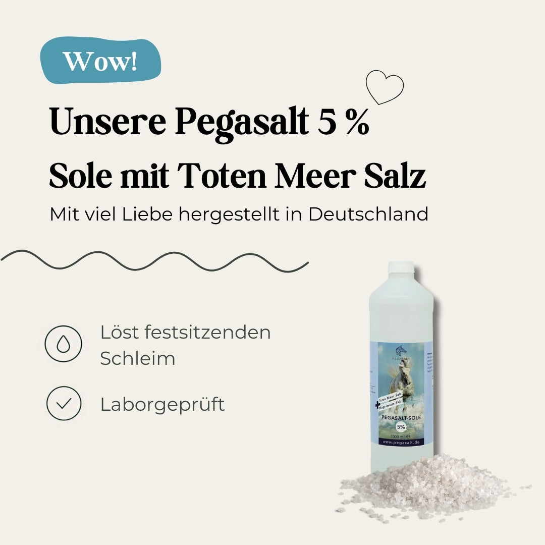Saumure Pegasalt 5% avec sel de la Mer Morte 1000 ml