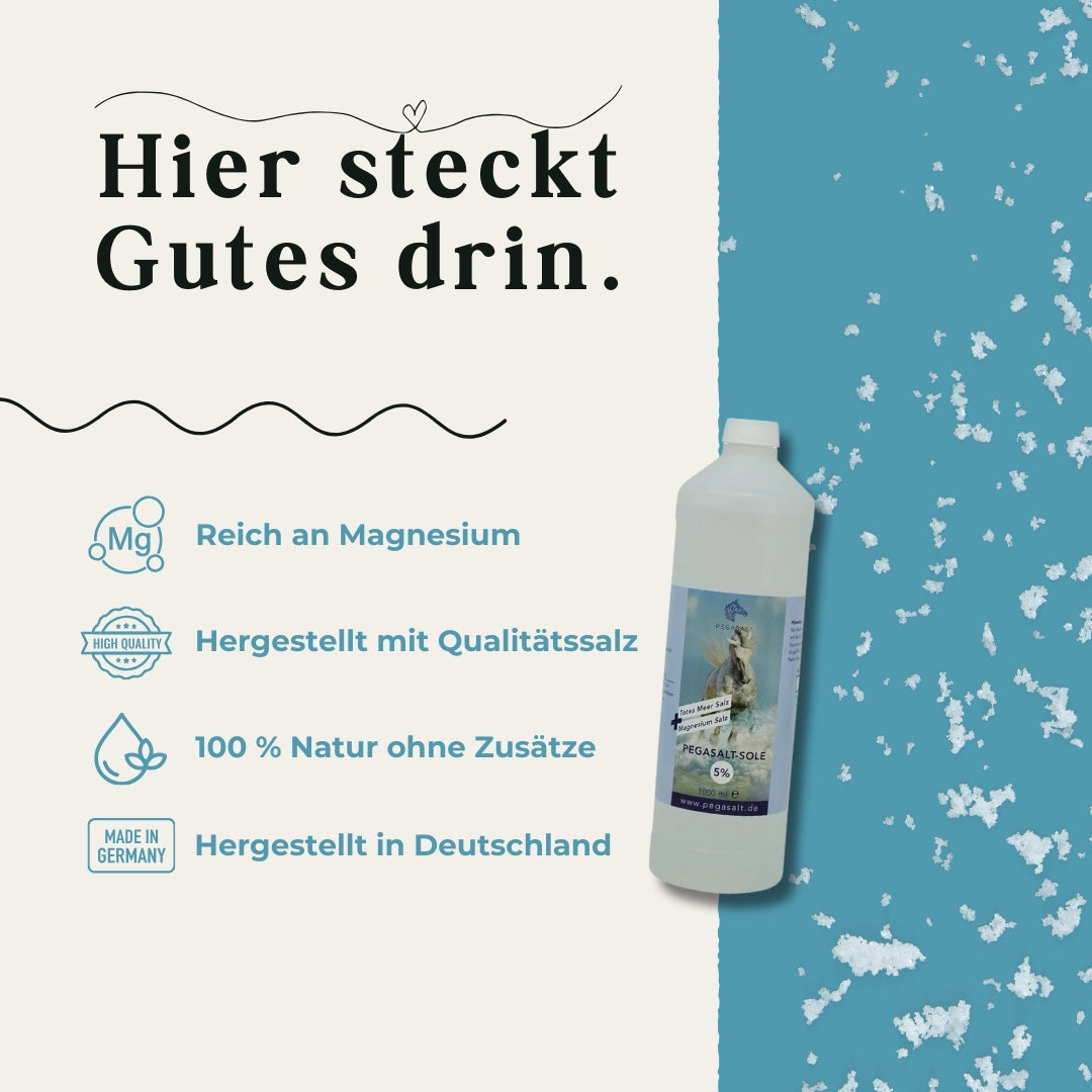 Saumure Pegasalt 5% avec sel de la Mer Morte 1000 ml