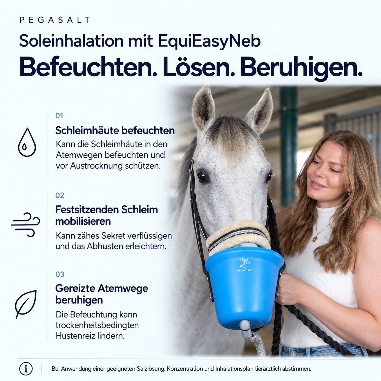 EquiEasyNeb | Ultraschall-Vernebler für Pferde-Inhalator | PEGASALT