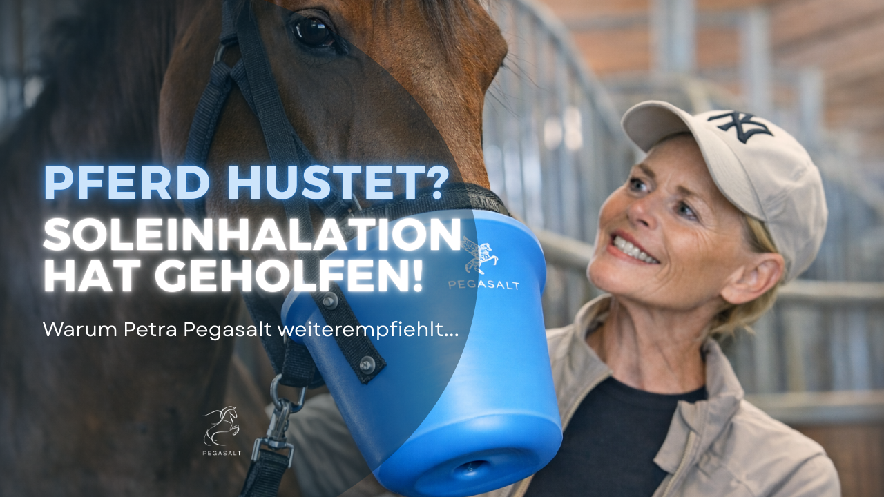 Charger la vidéo : Erfahrungsbericht zur Soleinhalation wie hilfreich inhalieren bei Pferdehusten ist