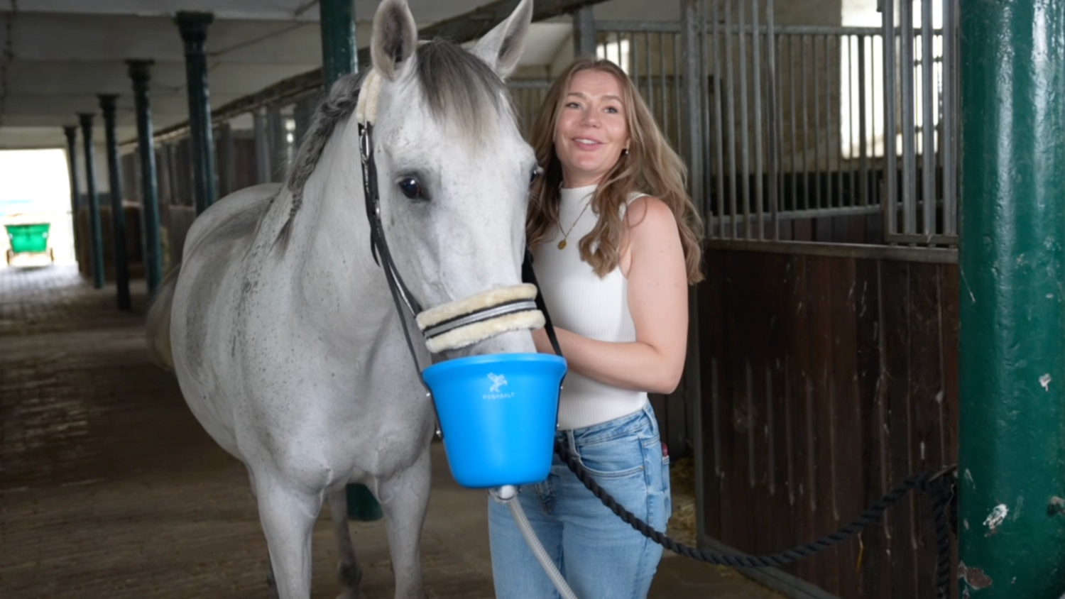 Schimmelpferd mit Frau Soleinhalation im Stall