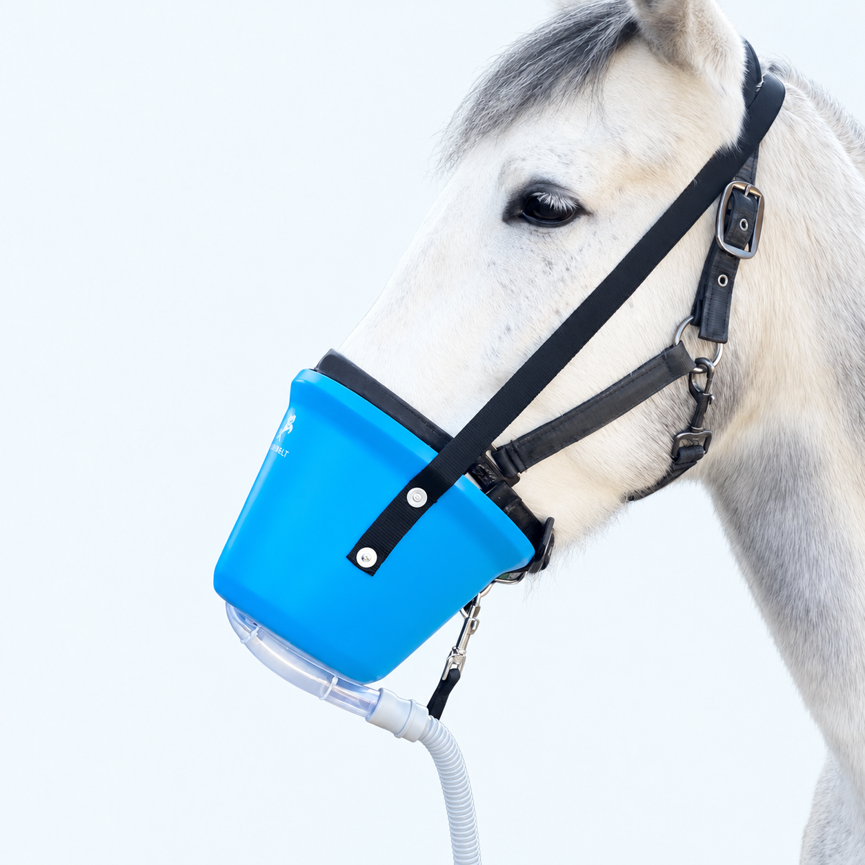 Pegasalt Pferde Inhalationsmaske + Schlauchadapter kaufen | PEGASALT