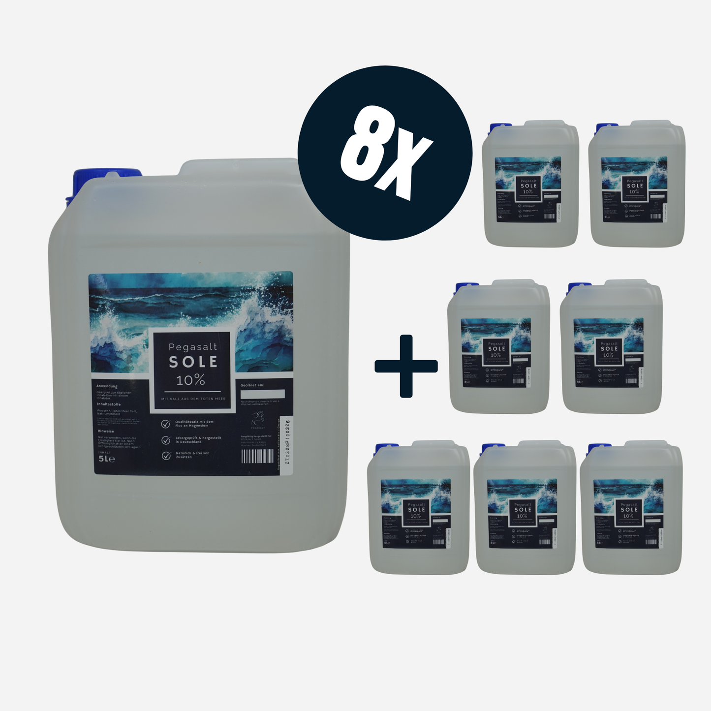 Pegasalt-Sole 10 % | mit Salz vom Toten Meer 8 x 5000 ml | PEGASALT