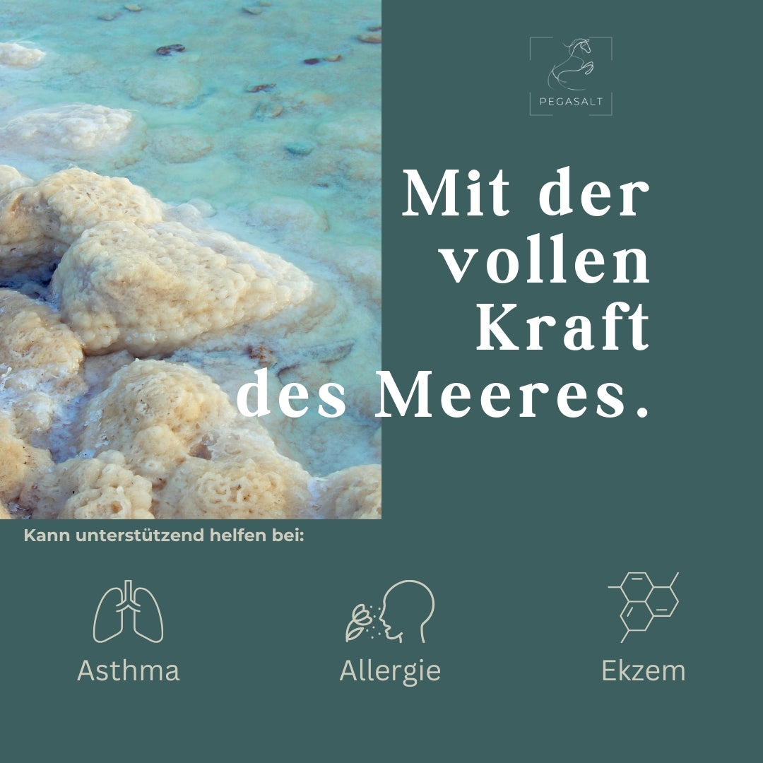 Pegasalt-Sole 2 % mit Salz vom Toten Meer 2500 ml - PEGASALT