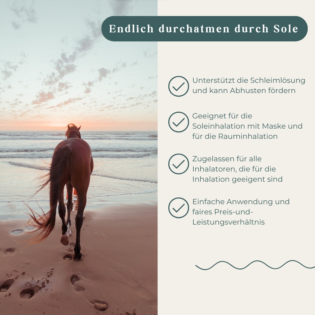 Pegasalt-Sole 2 % mit Salz vom Toten Meer 2500 ml - PEGASALT