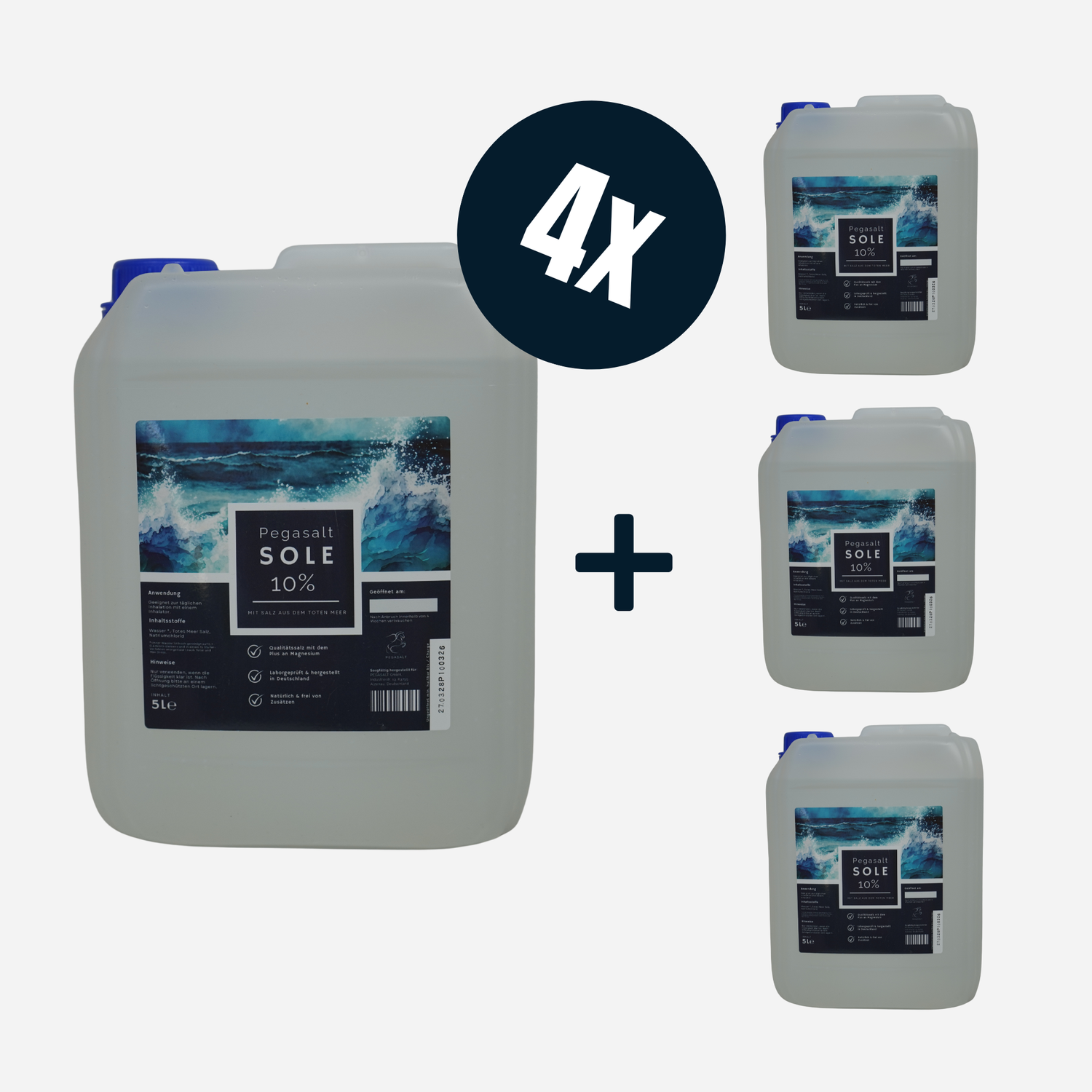 Pegasalt-Sole 10% | mit Salz vom Toten Meer 4 x 5000 ml | PEGASALT