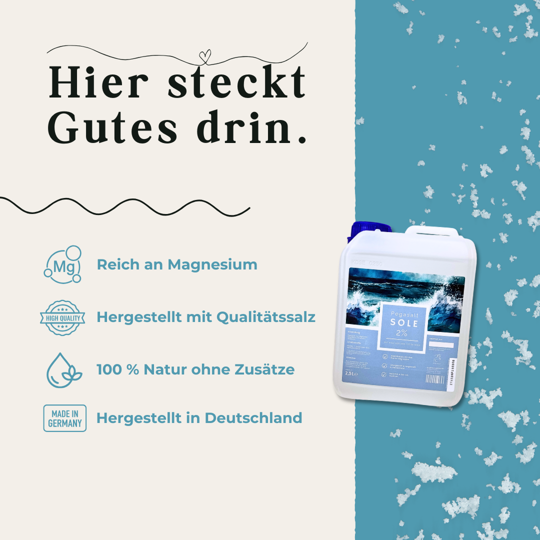 Pegasalt-Sole für Pferde zum Inhalieren | mit Salz vom Toten Meer 2500 ml | 