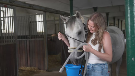 EquiEasyNeb - Nébuliseur ultrasonique Inhalateur pour chevaux pour usage privé